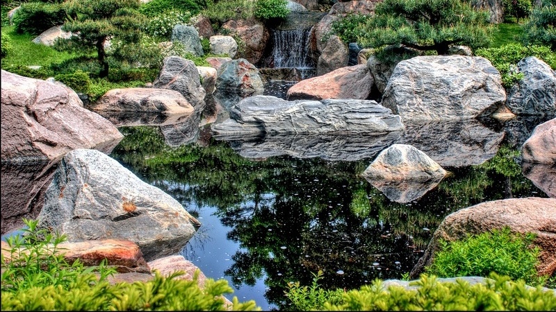 garden pond